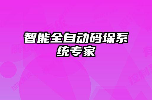 智能全自動(dòng)碼垛系統(tǒng)專家