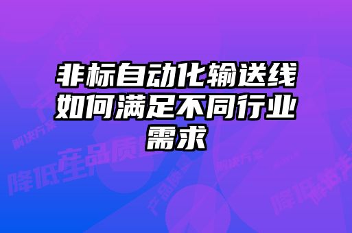 非標自動化輸送線如何滿足不同行業(yè)需求