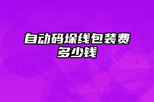 自動碼垛線包裝費(fèi)多少錢