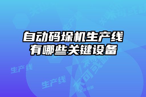 自動碼垛機(jī)生產(chǎn)線有哪些關(guān)鍵設(shè)備
