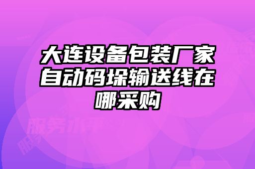 大連設(shè)備包裝廠家自動(dòng)碼垛輸送線在哪采購