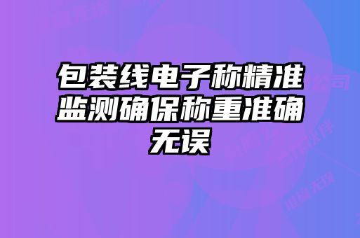 包裝線(xiàn)電子稱(chēng)精準(zhǔn)監(jiān)測(cè)確保稱(chēng)重準(zhǔn)確無(wú)誤